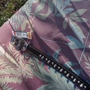 18 inch spiked Leather Collar